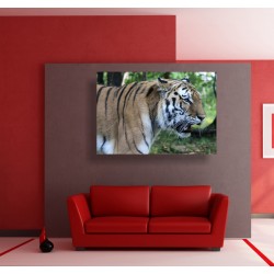 Πίνακας σε καμβά - Άγρια φύση 6